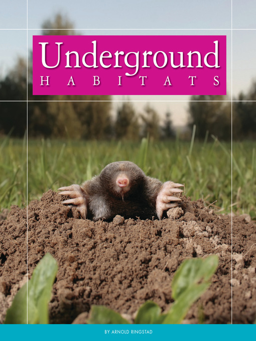 Title details for Underground Habitats by Arnold Ringstad - Available